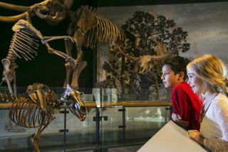 Children admire a fossil at the Museum.