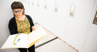 Allison Izaksonas looks at a plant in the Museum's collections. 