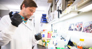 Dr. Bryn Dentinger works in a lab at the Museum.