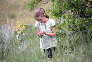 field_blog_image/0/alt