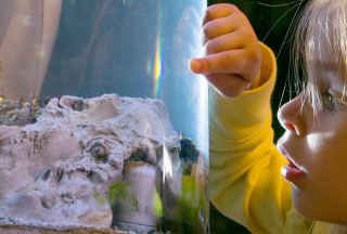 The Great Salt Lake exhibit at NHMU.