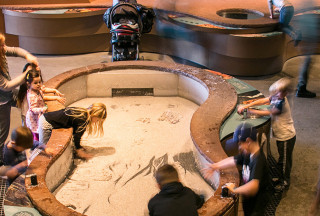 The Land Gallery at NHMU.