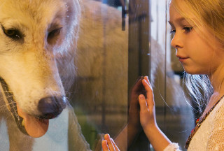 The Life Gallery at NHMU. 