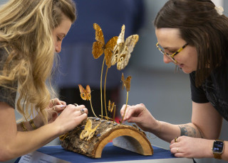Two museum employees on the right and left sides of the frame build a small display of several butterflies suspended in flight.