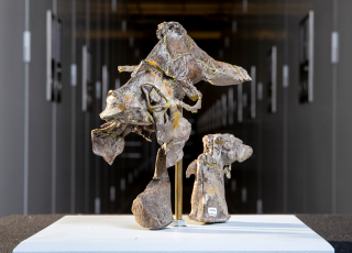 image of an Allosaurus fragilis brain endocast fossil with a dark collection shelving space in the background