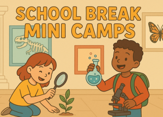 two kids in a museum looking at specimens