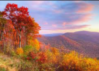 a mountain vista with fall colors