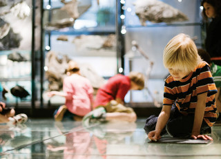 field_thumbnail/0/alt